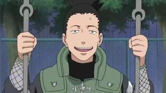 是谁爆料鹿丸的视频,揭秘鹿丸视频背后的真相  第3张